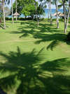 ALiLa Manggis boutique 